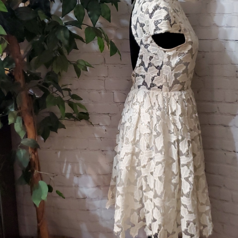 Alice + Olivia Cream Lace Fit-and-Flare Dress - Picture 5 of 16
